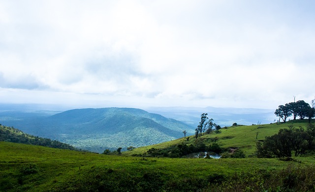 為雖然讓比 為雖然讓比