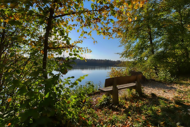 赛的一大亮 赛的一大亮