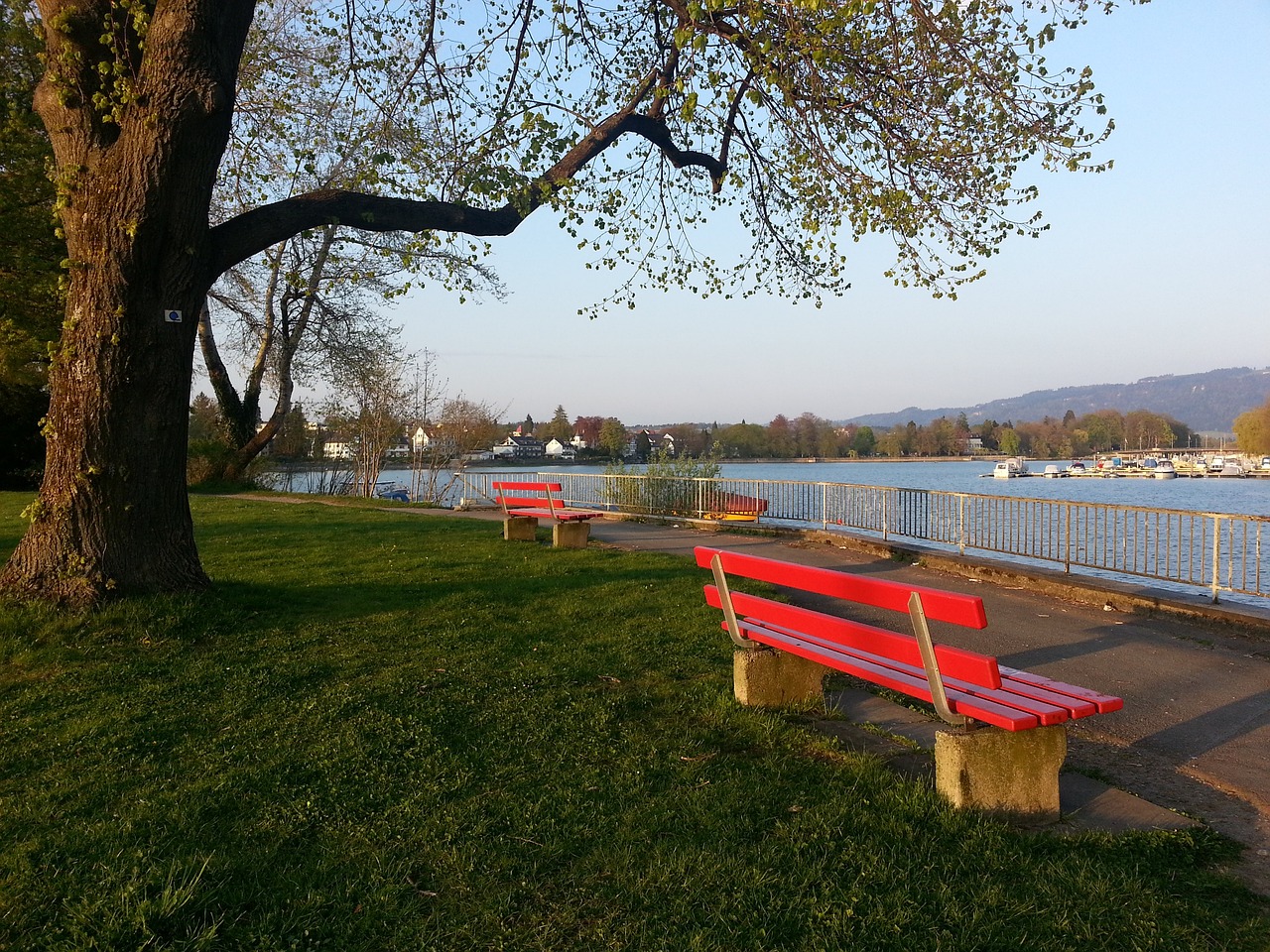 充分显示了 充分显示了