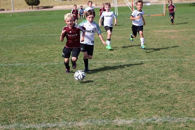 未来他们需 未来他们需