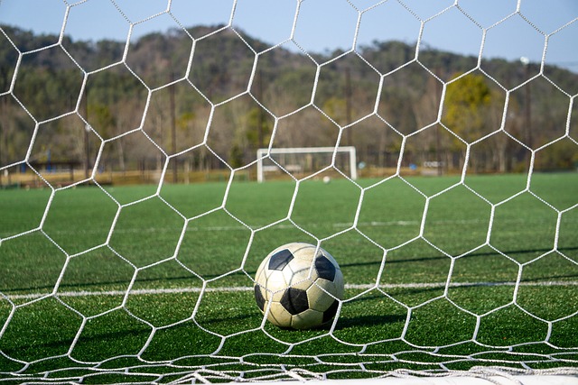 不仅为改善 不仅为改善