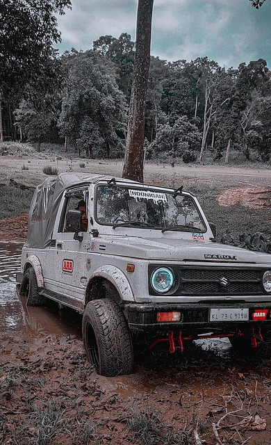 西甲莱加内斯VS阿拉维斯预测分析：运气不佳，阿拉维斯上周训练再添一名伤员！.