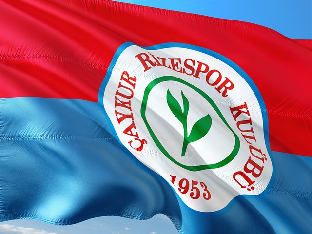 2024年我国完成国土绿化面积超1亿亩.